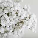 Ling's moment Artificial Baby's Breath, 18pcs Gypsophila Greenery Spray White Flowers for Wedding Bouquet/Centerpieces/boutonnieres/Corsage and Floral Arrangements
