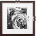 eletecpro 12x12 Picture Frames Set of 9 with Mat for 8x8 Photos or without Mat for 12x12, Square Gallery Wall Decor Collage for Picture Display, Walnut Brown Frame Set for Wall Hanging