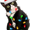 Tuxedo Cat Christmas Ornament, Funny Black and White Cat Holiday Tree Decoration for Pet Lovers, Wooden Keepsake Gift for Animal Owners