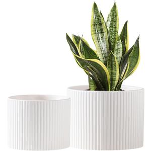 Ceramic Plant Pots, 8.1 + 6 Inch Planters for Indoor Plants, Modern Flower Pots for Plants with Drainage, Medium Cylinder Flower Pots for Indoor Plants, House Plants, Matte White