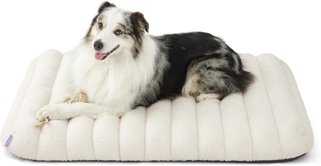 LE SURE Cute Orthopedic Dog Bed Large Sized Dog, Waterproof Chic Flat Pet Beds with Removable Washable Cover, Fuzzy Thick Egg Crate Foam Pet Mat for Indoor Use (36" x 27", Cream)