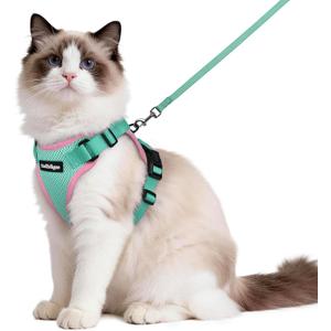 rabbitgoo Cat Harness and Leash,Green&Pink, M