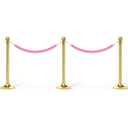 PATIKIL 4 Feet Light Pink Velvet Stanchion Rope, 2 Pack Crowd Control Barrier Rope with Snap Hooks for Posts Stands Queue Divider of Hotel Theater, Golden