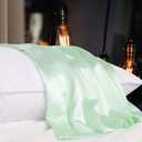 uxcell 1 Pack 100% Charmeuse Pure Silk Pillowcase for Hair and Skin, 350TC 19 Momme Soft Breathable Pillow Case with Hidden Zipper, Light Green Silk Pillowcase Travel (14x20inch)