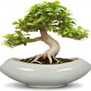 Bonsai Pots 18 Inch - Ceramic Succulent Pots with Drainage Hole Decorative Plant Pot Indoor Large Outdoor Planter Modern Flower Pot for Home Garden Room Decor Gray