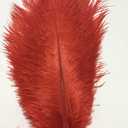 CENFRY 10pcs Ostrich Feathers 10-12inch Plumes for Wedding Centerpieces Home Decoration (red)
