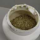 WORLD'S BEST CAT LITTER® Boosters™ Good Habits™ | Natural and Sustainable Cat Litter Additive | Attracts Your Cat to The Litter Box and Helps Avoid Accidents | Plant-Based Attractant | 18 oz Canister