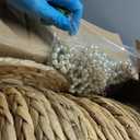 50 Set 13 Inch Round Woven Placemats with Pearl & Rhinestone Napkin Rings