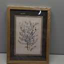 2Pcs Framed Canvas Wall Art Vintage Print Paintings Flower Drawing Plant Manuka Neutral Floral Nature Retro Aesthetic Artwork for Home Living Room Bathroom Farmhouse Wall Decor 12x16in Ready to Hang