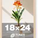 TONES FRAME DESIGN 18x24 Frame Natural Solid Wood Veneer 18 x 24 Poster Frame with Shatterproof Plexiglass, Wall Hanging Modern Wooden Picture Frames 24x18 for Home Office Decor