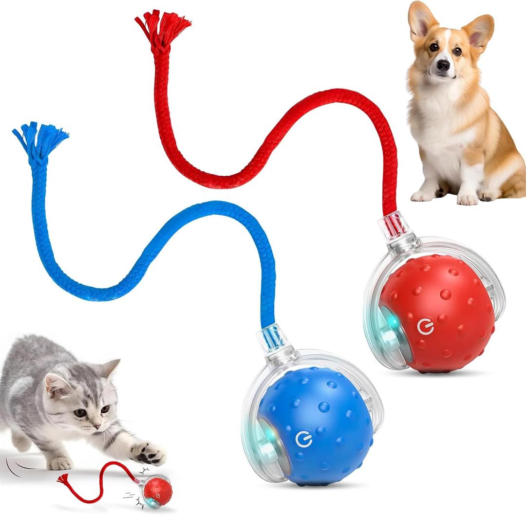 2Pcs Tinyfetch Dog Toy, Interactive Dog Cat Toys Balls with Birdsong, Rechargeable 360 Smart Automatic Rolling Electric Dog Ball Toy with Rope for Pets Indoor & Outdoor Play (Red+Blue)