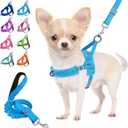 Lukovee No Pull Dog Harness and Leash Set, Soft Padded Small Dog Harness, Neck & Chest Adjustable Reflective Vest Puppy Harness with 4ft Lightweight Anti-Twist Dog Leash for Small Dogs (LBL, XXS) (XXS ( Chest 11.5'' ~ 15''))