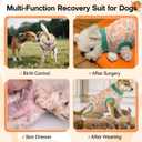HeavenEye Dog Surgery Recovery Suit Onesies-Soft Cone Alternative for Female & Male Dogs, Post-Op Protective Wear, Stop Licking, Comfy Body Suit for Spay/Neuter After Surgery (Orange, 2XL)