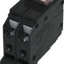 Connecticut Electric EATON CORP CH2100 Circuit Breaker, 2-Pole 100-Amp, Black
