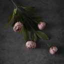 VIERENA 6 Pcs Faux Silk Peony Artificial Flowers for Vase -27", Bulk Fake Peonies Branches with Stems for DIY Bouquet Centerpieces Wedding Fillers Arrangements Shower Decorations (Blush Pink)