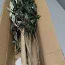 Artificial Black Olive Tree 7FT Indoor Outdoor Decor Faux Plants - Real Wood Trunk Fake Tree with Green UV Resistant Leaves - Tall Floor Plant for Modern Home Office Living Room Decoration