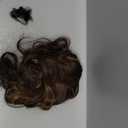 Clip on Ponytails for Women - 18 Inch Curly Ponytail Extension, Wavy Pony Tails Hair Extensions, Synthetic Hair Extensions Ponytail, Clip in Ponytail (Color: Brown with Golden Highlights)