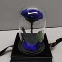 Preserved Roses Handmade Rose in Glass Dome, Preserved Flowers Never Withered Romantic Gifts for Her, Mother's Day, Birthday Gifts for Women (9 inch, Blue)