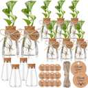 Baderke 3.35'' Plastic Plant Propagation Stations with Hole Lid Planter Vase Clear Propagation Jars with Thank You Tags for Plant Lover Gifts for Women Office Home Garden(12 Pack,Cute)