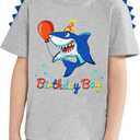 Dinosaur Birthday Boy T-Shirts Dino Birthday Shirts for BoysTolddlers Dinosaur B-Day Party T Shirt (Gray, XL)