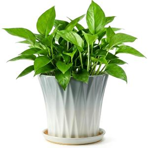 8.3 Inch Ceramic pots for Plants with Saucer Drainage Leak-Proof Mesh, Round Plant Pot with Gardening Gloves for Indoor Outdoor Plants (Rippled Grey)