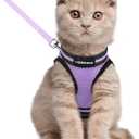 rabbitgoo Cat Harness and Leash Set for Walking Escape Proof, Adjustable Soft Kittens Vest with Reflective Strip for Cats, Comfortable Outdoor Vest, Light Purple, Large