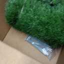 LOOBANI Realistic Artificial Grass Rug Indoor Outdoor, Dog Grass Mat with Drainage Holes and Replacement Artificial Grass Turf, Fake Grass for Garden Lawn Landscape Balcony Decoration, 4 Feet x 6 Feet