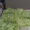 Flybloom Willow Leaves Print Sheer Curtains for Living Room Bedroom Fresh Style Window Curtain(Green)