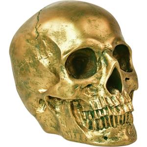 SEKKVY Resin Human Gold Skull Statues Halloween Decor Skeleton Outdoor Human Skull Model Golden Home Decoration (Non-Removable)