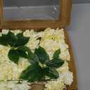 Ling's Moment Rose Artificial Flowers 16pcs Realistic Cream Avalanche Roses with Stem for DIY Wedding Bouquets Centerpieces Floral Arrangements Decorations