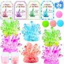 24 Pack Valentines Day Crystal Growing Science Kits for Kids, Classroom Exchange Gifts with Cards, School Valentines Day Activities (Blue)