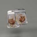 2 x Christmas Tree Decorations, Acrylic Christmas Tree Ornaments, Double-Printed Animal Hanging for Christmas Tree, Home Decor, Children's Gifts (Owl) (Moon-owl 2)