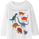 Toddler Boy Long Sleeve Shirts Kids Cotton Fall Top Crewneck Clothes 2-7 Years