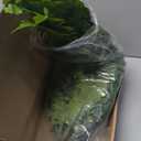 Large Artificial Ferns for Outdoor 96 Fronds Fake Boston Fern Faux Ferns Plant Silk Greenery for Indoors Home Garden Porch Windowsill Decor (1 Stem)