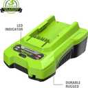 Greenworks 40V Battery Charger (Genuine Greenworks Charger)