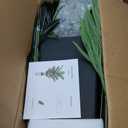 6FT Artificial Palm Tree, Tall Faux Palm Tree Indoor with Black Fake Plants Tall, Artificial Plants with Lifelike Leaves for Home Office Decor (Black)