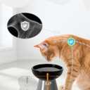 LoeJan Elevated Cat Food and Water Bowls Set, Extra Wide and Raised Ceramic Feeder, Anti-Vomit Whisker-Free Pressure Feeding Bowl for Kittens Adult Small Dogs (Black)