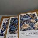Framed Canvas Wall Art Set of 3 William Morris Birds 16x24