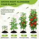 60 Inch Round Tomato Cages for Garden - 2 Pack Heavy Duty Metal Tomato Trellis Plant Support, Adjustable Height & Stackable, Easy Assembly for Outdoor Climbing Plants