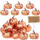 20 Set Artificial Sparkly Pumpkin Decoration Glitter Disco Mirror Pumpkin Place Card Holders Fall Thanksgiving Harvest Hanging Pumpkins Decor for Autumn Halloween Thanksgiving Party Table Centerpiece