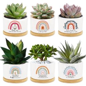 Tarklanda 6Pcs Thank You Teacher Gift Rainbow Succulent Plant Pots Mini Ceramic with Bamboo Tray Flower Pot Planters for Colleague Employee Friend Appreciation Thanksgiving, Plants Not Included