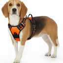 Eagloo Dog Harness Small Sized Dog, No Pull Service Vest with Reflective Strips and Control Handle, Adjustable and Comfortable for Walking, No Choke Pet Harness with 2 Metal Rings, Orange, S