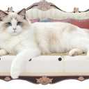 Luxury Cat Scratcher Sofa Bed, Cardboard Couch Shape Scratching Lounge, for Indoor Cats Kittens Kitties Rest&Play（23.6''*9.8''*12.6''）