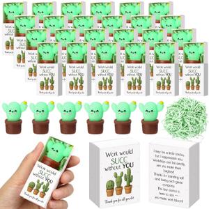 Wettarn 24 Sets Work Appreciation Gifts Cactus Stress Balls with Thank You Boxes Bulk Company Party Favors for Employee Coworker Staff Office Positive Relief Desk Decor