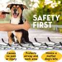 PetJett Prong Collar for Dogs - Choke Collar for Dogs, Pinch Collar for Dog Adjustable Dog Training Collar for Medium Breed - No Pull Safety Stainless Steel Metal Choker Chain Walking Tool