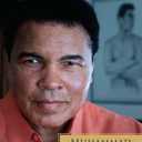 The Soul of a Butterfly: Reflections on Life's Journey