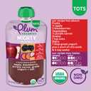 Plum Organics Mighty Food Group Blend, 4 Ounce Pouch, 6 Pack | Organic Baby Food, Quinoa, Blackberry, Purple Carrot, Greek Yogurt & Oat, 12+ Months, Kosher, Non-GMO (EXP 12/12/26)