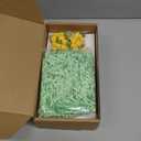 Soulche 50 Pcs St. Patrick's Day Micro Mini Resin Duck Miniature Figures Shamrock Resin Tiny Ducks Charms for Landscape Aquarium Garden Dollhouse Ornament DIY Decoration for Party Supplies