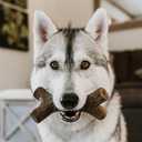 Lumabone Real Bacon Medium 3-Pack Durable Dog Chew Toys for Aggressive Chewers, Made in USA  Wishbone, Zaggler, Stick