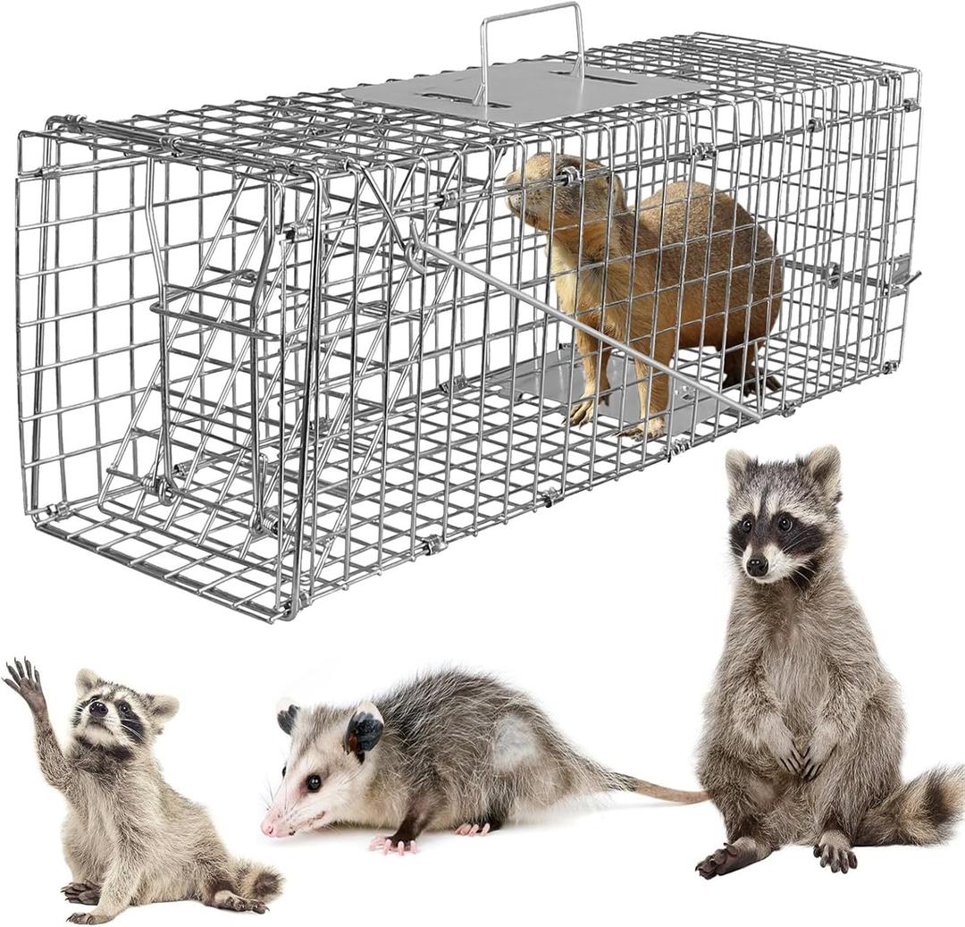 KOCASO Large Live Animal Trap Cage, Foldable Heavy Duty Humane Rat Trap for Indoor and Outdoor, Metal Mouse Trap Foxes Armadillos Cats, Rabbits, Raccoons, Skunks, Possums/Catch and Release, Sliver